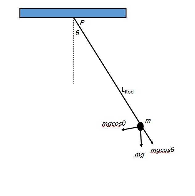 The physical system